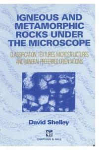 bokomslag Igneous and Metamorphic Rocks under the Microscope