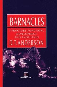 bokomslag Barnacles