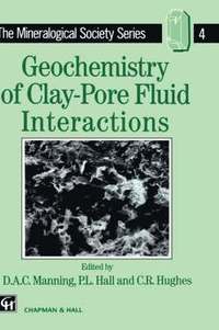 bokomslag Geochemistry of Clay-Pore Fluid Interactions