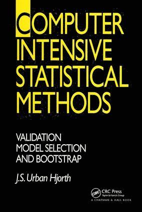 bokomslag Computer Intensive Statistical Methods