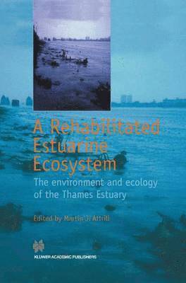 Rehabilitated Estuarine Ecosystem