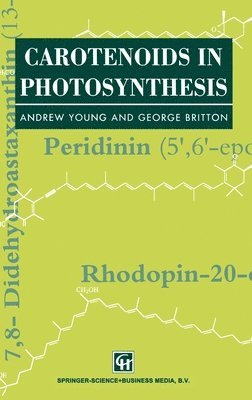 bokomslag Carotenoids in Photosynthesis