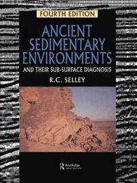 bokomslag Ancient Sedimentary Environments