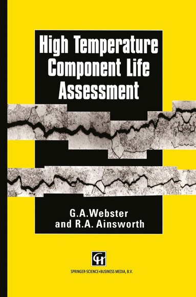 bokomslag High Temperature Component Life Assessment