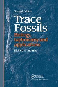 bokomslag Trace Fossils