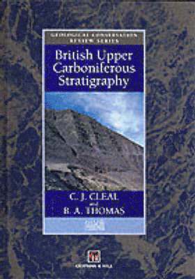 bokomslag British Upper Carboniferous Stratigraphy