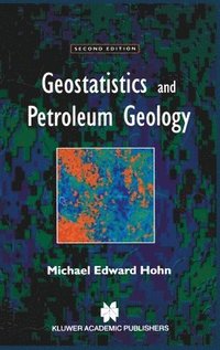 bokomslag Geostatistics and Petroleum Geology