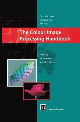 The Colour Image Processing Handbook 1