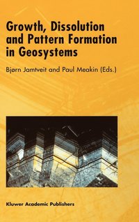 bokomslag Growth, Dissolution and Pattern Formation in Geosystems