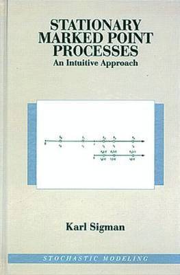 bokomslag Stationary Marked Point Processes