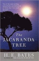 bokomslag Jacaranda Tree, The