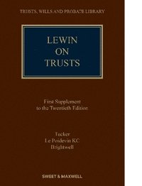 bokomslag Lewin on Trusts