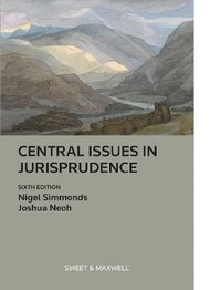 bokomslag Central Issues in Jurisprudence