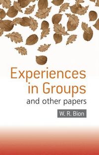 bokomslag Experiences in Groups