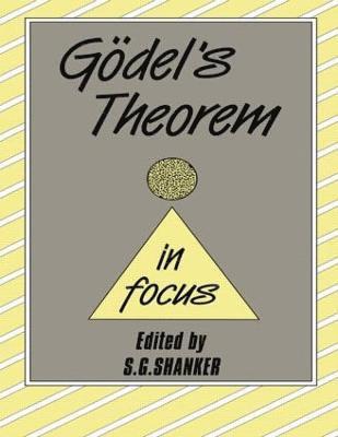 bokomslag Godel's Theorem in Focus