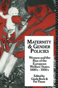 bokomslag Maternity and Gender Policies