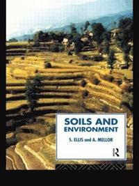 bokomslag Soils and Environment