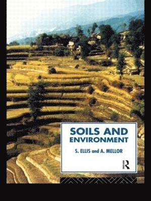 bokomslag Soils and Environment