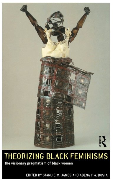 Abena P. A. Busia, Stanlie M. James - Theorizing Black Feminisms, Häftad