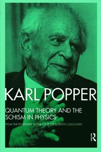 bokomslag Quantum Theory and the Schism in Physics