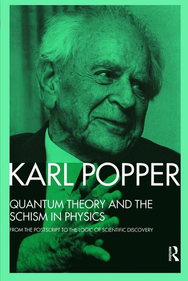 bokomslag Quantum Theory and the Schism in Physics