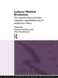 bokomslag Labour Market Evolution