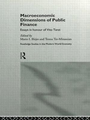 Macroeconomic Dimensions of Public Finance 1