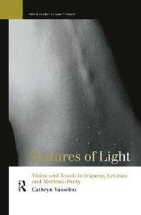 bokomslag Textures of Light