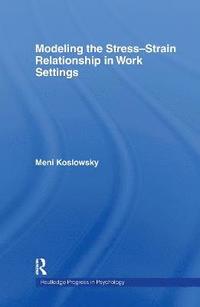 bokomslag Modelling the Stress-Strain Relationship in Work Settings