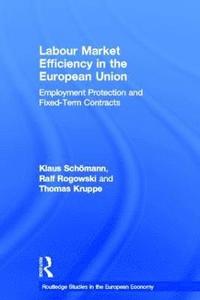 bokomslag Labour Market Efficiency in the European Union