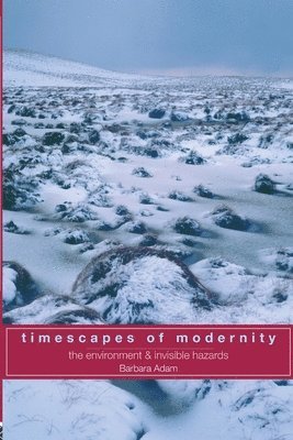 bokomslag Timescapes of Modernity