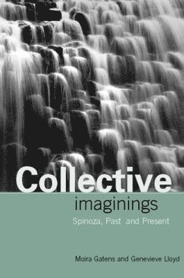 bokomslag Collective Imaginings