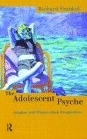 bokomslag The Adolescent Psyche