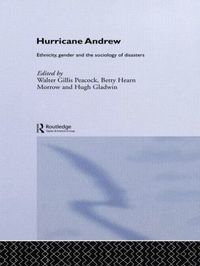 bokomslag Hurricane Andrew