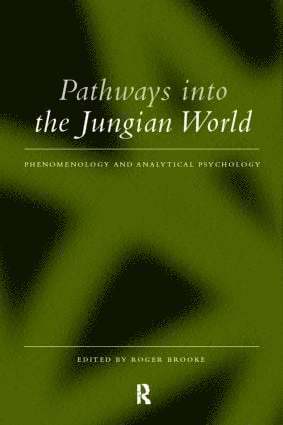 bokomslag Pathways into the Jungian World