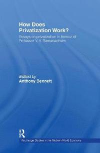 bokomslag How Does Privatization Work?