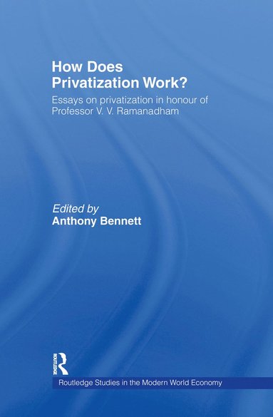 bokomslag How Does Privatization Work?