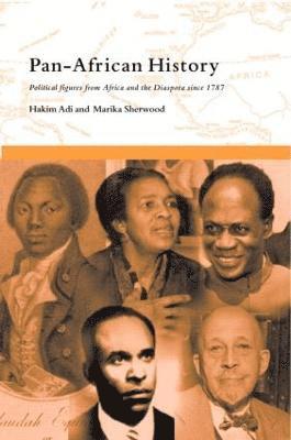 bokomslag Pan-African History