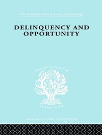 bokomslag Delinquency and Opportunity