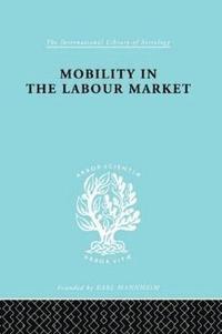 bokomslag Mobility in the Labour Market