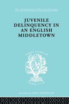 bokomslag Juvenile Delinquency in an English Middle Town