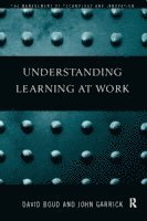 bokomslag Understanding Learning at Work