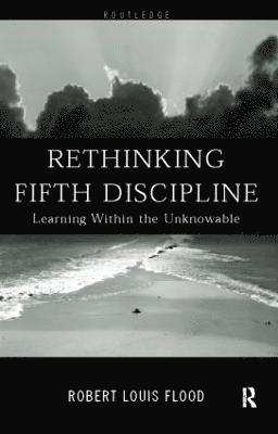 Rethinking the Fifth Discipline 1