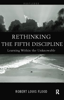 Rethinking the Fifth Discipline 1