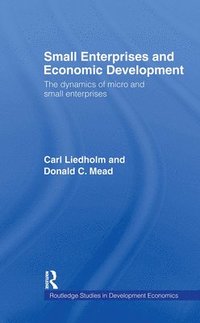 bokomslag Small Enterprises and Economic Development