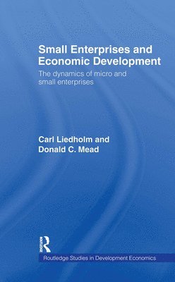 Small Enterprises and Economic Development 1