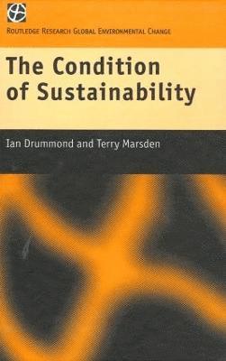 The Condition of Sustainability 1