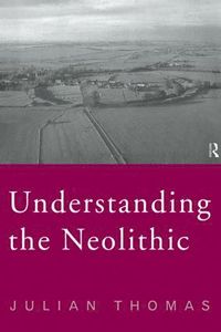 bokomslag Understanding the Neolithic