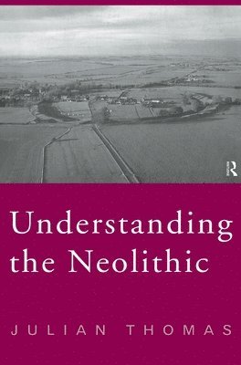bokomslag Understanding the Neolithic