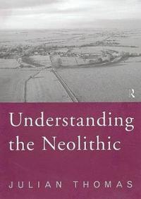 bokomslag Understanding the Neolithic